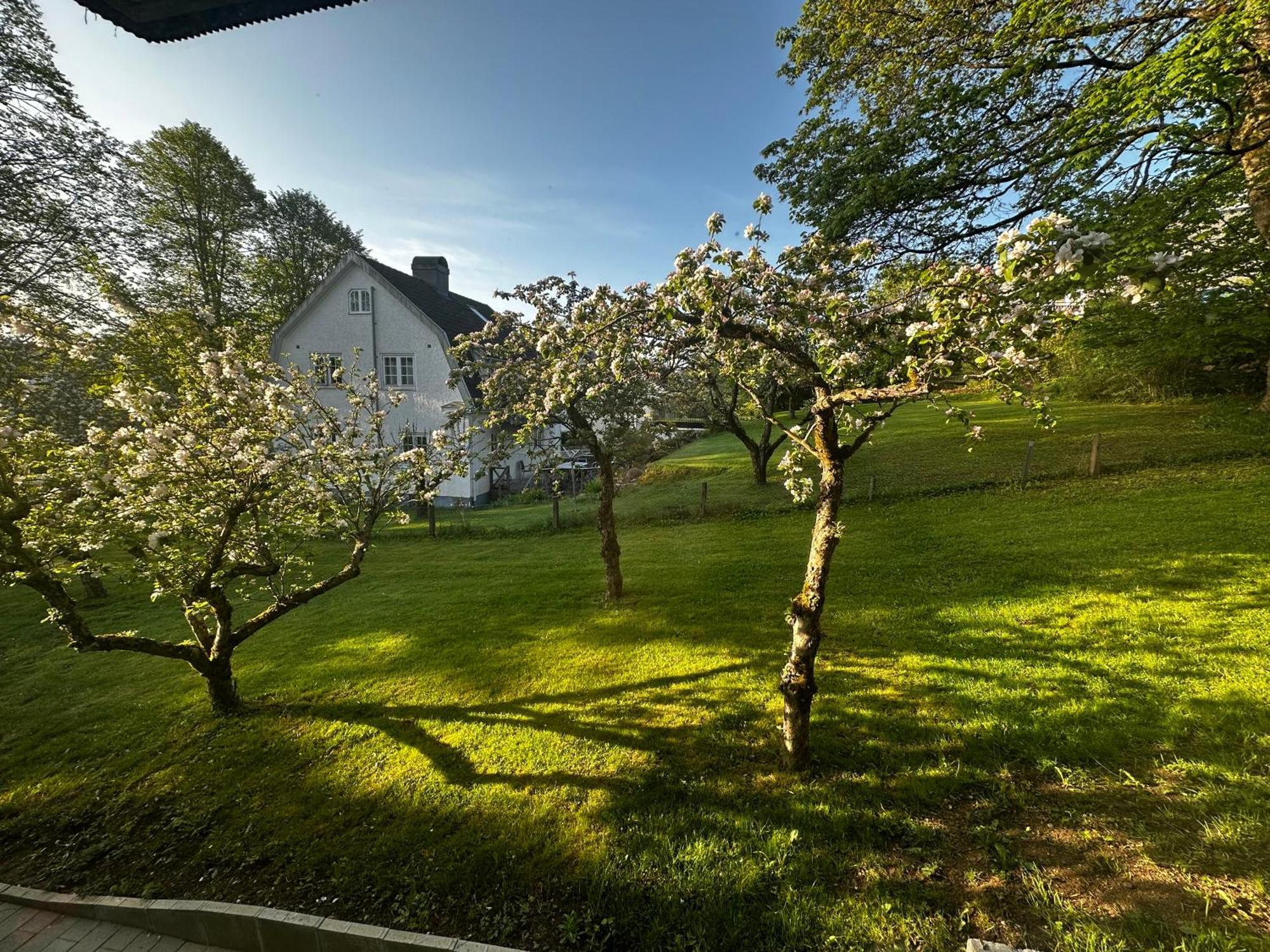 Luxury 2 Rooms Residence At The Heart Of Borås Eksteriør bilde